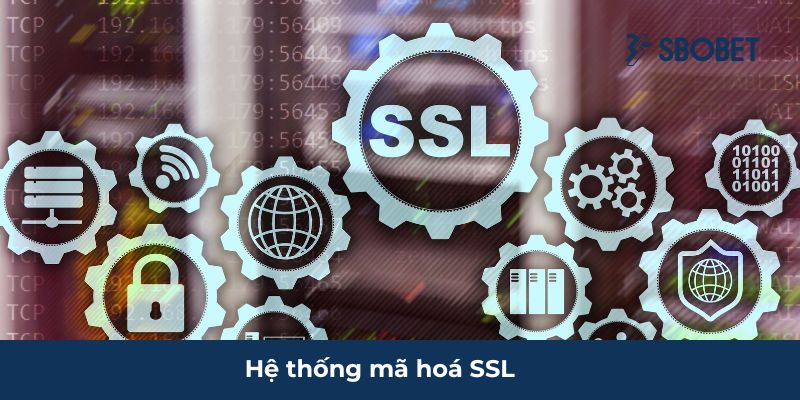 Tầm nhìn chiến lược của CEO Minh Hưng về hệ thống mã hoá